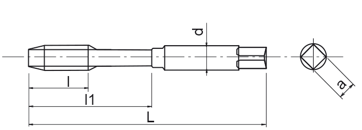 WWW Gewindeschneideeinsatz mit Rutschkupplung 10x8mm DIN371 M10 93GMS1-10M10371 